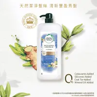 在飛比找蝦皮購物優惠-【美國】 Herbal Essences 藍薑豐盈洗髮精