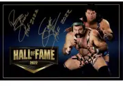 AUTOGRAPHED Steiner Brothers HALL OF FAME 11 X 17 POSTER Signed Wrestling WWF