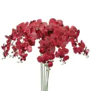 6Pcs 41" 9 Heads Artificial Orchid Stems Faux Phalaenopsis, Burgundy
