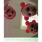 在飛比找蝦皮購物優惠-《文化國際通》-畫集 1995 Biennial Exhib