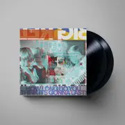 How Long Do You Think It's Gonna Last? (Vinyl)