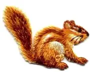 IRON ON PATCH CHIPMUNK 2 1/4 X 1 3/4 inch