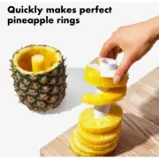 Pineapple Slicer Cutter Corer Gadget Stainless Plastic Fruit Peeler Easy Kitche