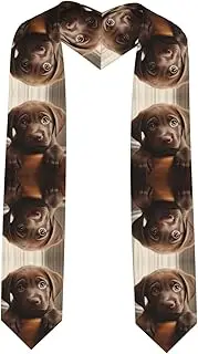 [SKKNT] Cute Labrador Dog 1 Print Graduation Shawl Stole For Academic Commencements Honor Sash Congratulations Gift