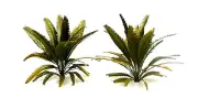 TROPICAL JUNGLE PLANTS MODEL SET 1/35 SCALE APPROX 10 CM. TPV-054