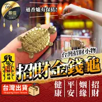 在飛比找PChome24h購物優惠-【招財法寶】招財金錢龜 錢龜 小錢龜 御守金錢龜 HASB8