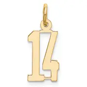 14K Yellow Gold Small Elongated Number 14 Charm