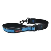 Scream Reflective Bungee Leash w/ Padded Handle for Dogs Loud Blue 3.8 x 55cm