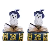 2PK Mystical Worlds Snowy Owl Book Trinket Box Figurine Ornament Home Decor