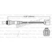 PAT Oxygen/Lambda Sensor Pre-Catalytic Converter/Manifold - EGO-491