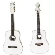 12 String Acoustic / 6 String Fretless Classical Electric, Double Sided Guitar W