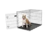 Large Wire Steel Dog Kennel Plastic Pan Portable Folding Single Door Pet Crate