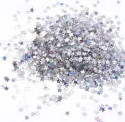 Small Silver Stars Holographic Glitter 1.5oz/42g
