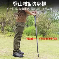 在飛比找Yahoo!奇摩拍賣優惠-登山杖登山杖旅行杖防身裝備徒步裝備超輕多功能伸縮折疊拐杖手杖