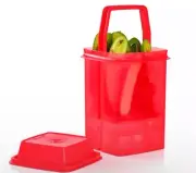 Tupperware SMALL Pick-A-Deli Container Red Color
