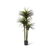 E Style Dracaena Grass Tree Artificial Plant Garden Decor 90x163cm Green