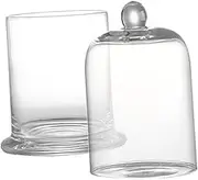 Garneck 1Set Elegant Cocktail Glass with Smoke Hood Decorative Drinking Wine Cup for Parties Special Occasions Unique Food Grade Glassware for Cocktails Wine Beer