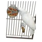 Featherland Paradise Paradise Foraging Wheel Bird Toy 17.5 x 15cm