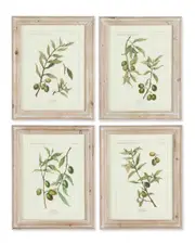 Napa Home & Garden Set of 4 Framed Olive Leaf Botanical Prints