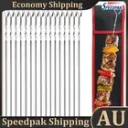 16Pcs Kabob Skewers Stainless Steel Barbecue Flat Skewers Kitchen Accessories AU