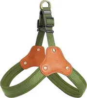 Nylon Leather Padded Dog Harness Vest Durable Pet Harness for Medium Large Dogs French Bulldog Labrador Walking Training(Green,Small)