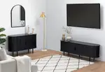 TANNER 2 Door Black Entertainment Unit