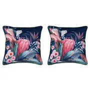 2PK Bianca Balwyn Square Soft Plush Velvet Cushion 43x43cm Throw Pillow Navy