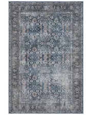 Amer Rugs Alaska Machine-Washable Vintage Medallion Power-Loomed Rug