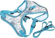 WOONEKY 1 Set Breathable Pet Harness Kit Outdoor Dog Supply with Long Traction Leash Comfortable Puppy Vest for Walking and Training Reflective Design for Safety