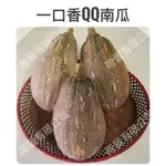 一口香QQ南瓜種子(4粒) 木瓜型