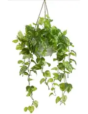 [Fusion Botanicals] Faux Marble Pothos Bush 104cm in Hanging Planter in Green