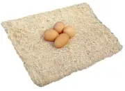 Excelsior Poultry Nesting Pads 13"x13" Bundle of 40 Chicken Hens Nest Bedding
