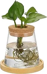 SUPVOX Hydroponic Glass Vase for Indoor Plants Modern Desktop Propagation Station Compact Design Planter for Spaces Decorative Hydroponic Planter Space Saving