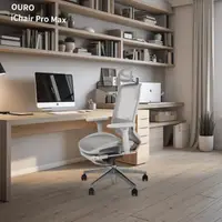 在飛比找momo購物網優惠-【OURO】真 人體工學椅 iChair Pro Max(前