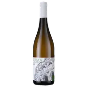 2023 Federici DOC Bianco - Buy Online | The Wine Collective Marketplace