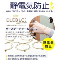 在飛比找蝦皮購物優惠-【貳陸】 日本 ELEBLO 誕生石防靜電守護手鍊 冬季 靜