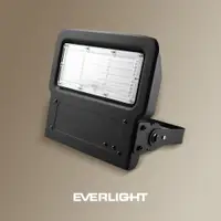 在飛比找松果購物優惠-【Everlight 億光】 LED 星宇 150W 全電壓