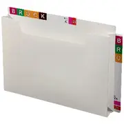 Avery A4 Twin Tab Pocket File White 10 Pack