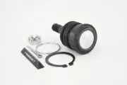Ball Joint Front Lower Arm For NISSAN PULSAR N15 Ball Joints