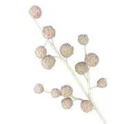 Champagne Ball Spray