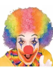 Rainbow Clown Wig