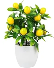 Fruit Potted Plants Pots Simulation Lemon Home Decorations Decorate Plastic Festival Decor Artificial Kumquat Tree (Color : 12 Fruit Potted Plan)