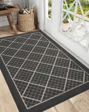 DEXI Front Door Mat 32x48 Non Slip Absorbent Entryway Doormat Low Profile Thi...