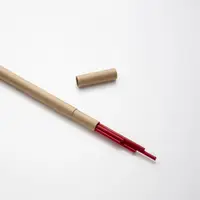 在飛比找PChome24h購物優惠-大人的鉛筆 紅色2mm 2B筆芯 5支裝