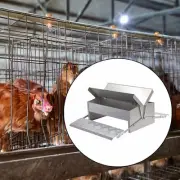 Automatic Treadle Chicken Feeder Chicken Coop Food Trough for Pheasants Farm