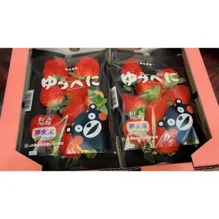 日本空運🇯🇵熊本熊草莓🍓