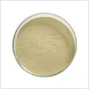 100g Panax Ginseng Extract Powder 10:1, Anti-Fatigue Boost