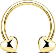 [Jewseen] 16G Septum Rings Heart Cartilage Earring Hoop 316L Stainless Steel Helix Earring Daith Earring Nose Ring Hoop Septum Piercing Jewelry for Women and Men