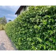 Apartment 10 Min From Orio Al Serio Airport Bgy