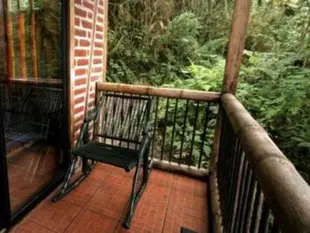 Bellavista Cloud Forest Lodge & Private Protected Area